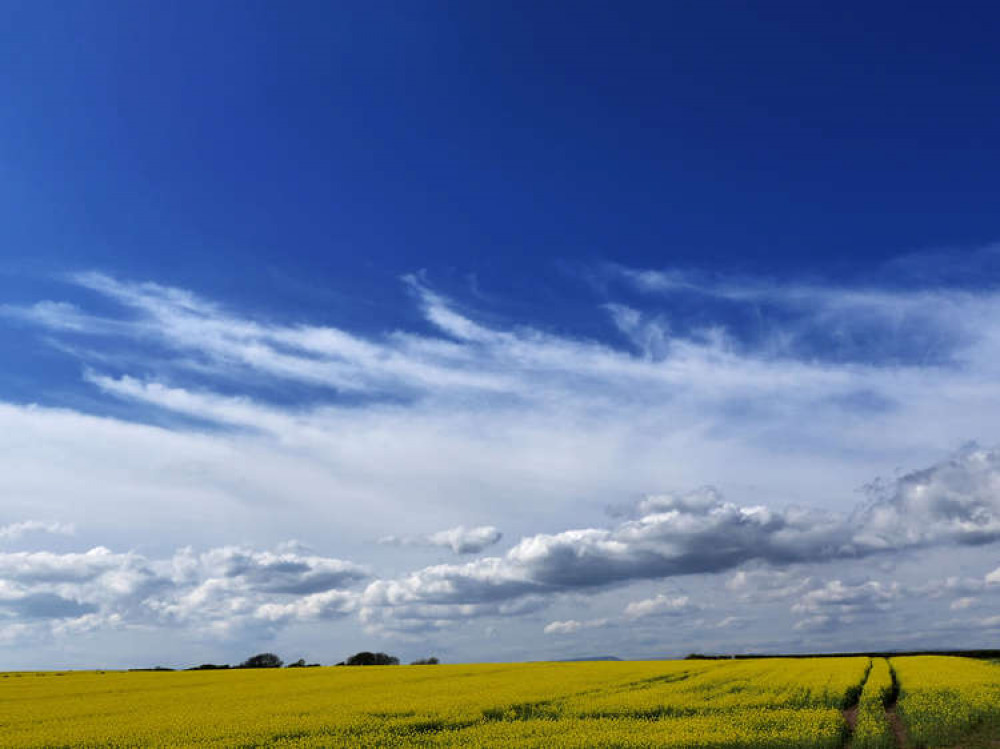 Cowbridge (Image: Simon Rowe)