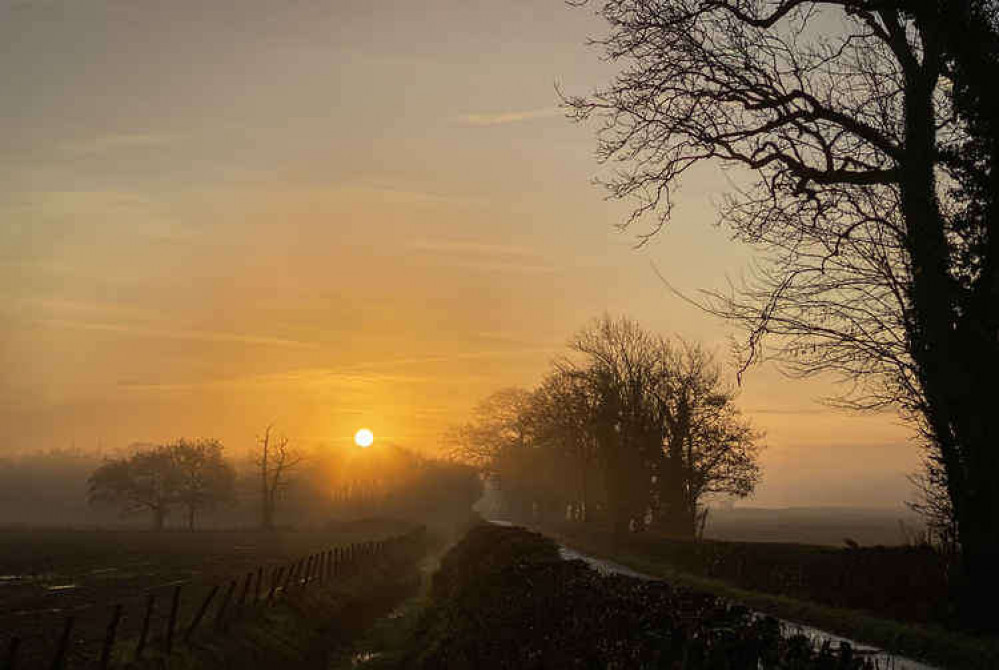 A milder day in Cowbridge today (Image: Mike Baker)