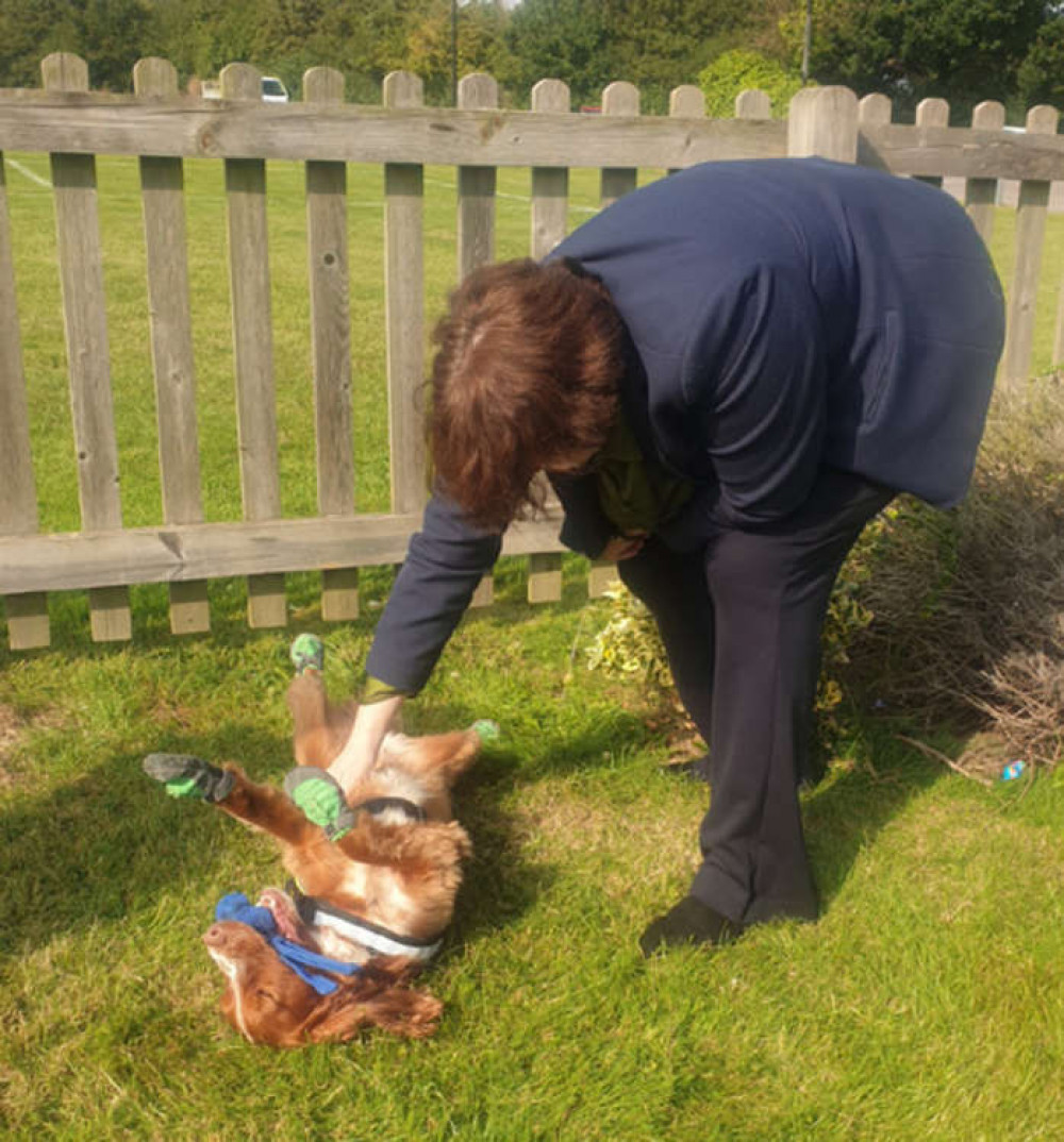 Joint fire and police investigation dog Fizz gets a tummy rub from Deputy Police, Fire and Crime Commissioner Jane Gardner.