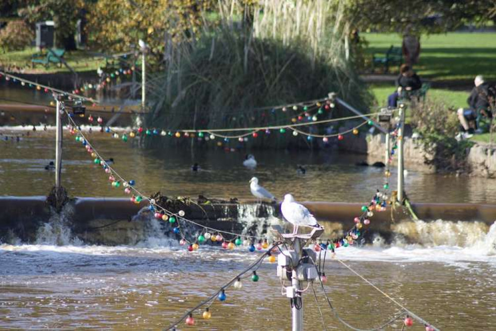 Dawlish Water (Nub News, Will Goddard)