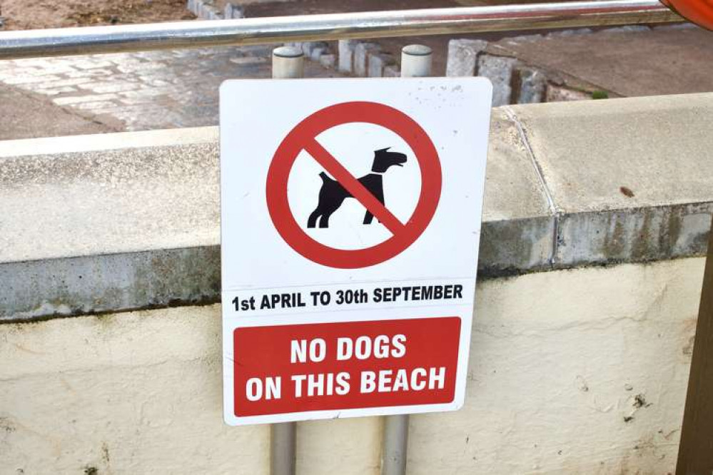 Dog ban sign on Coryton Cove beach, Dawlish (Nub News, Will Goddard)