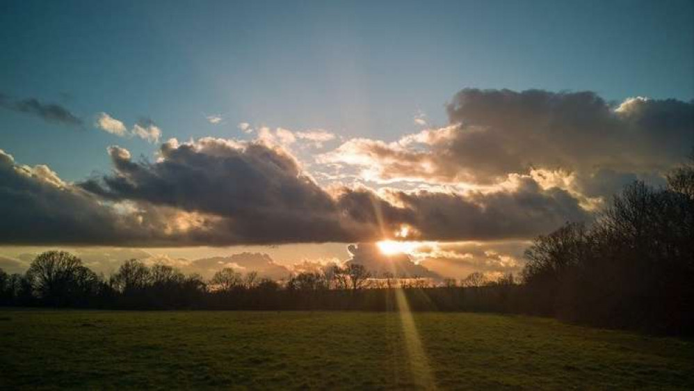 Horsenden West meadows in north Ealing. (Image: Sean McCormack)