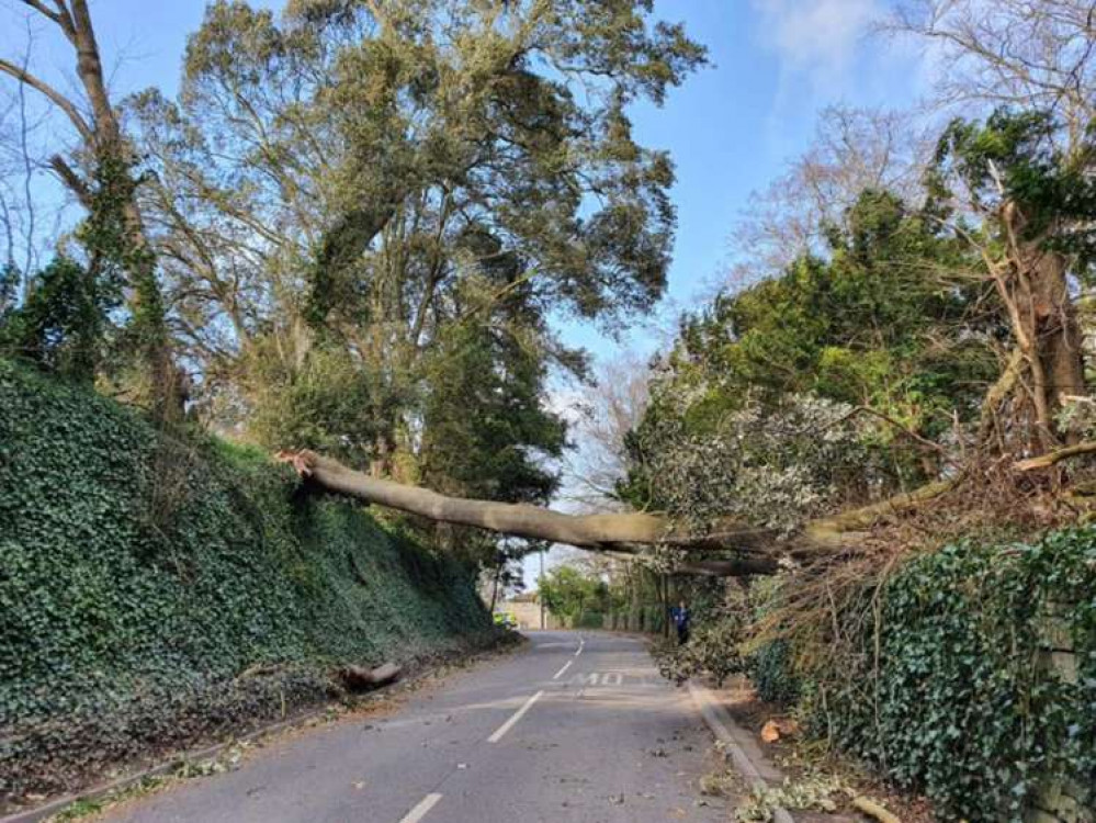 The B3151 between Somerton and Compton Dundon at the weekend