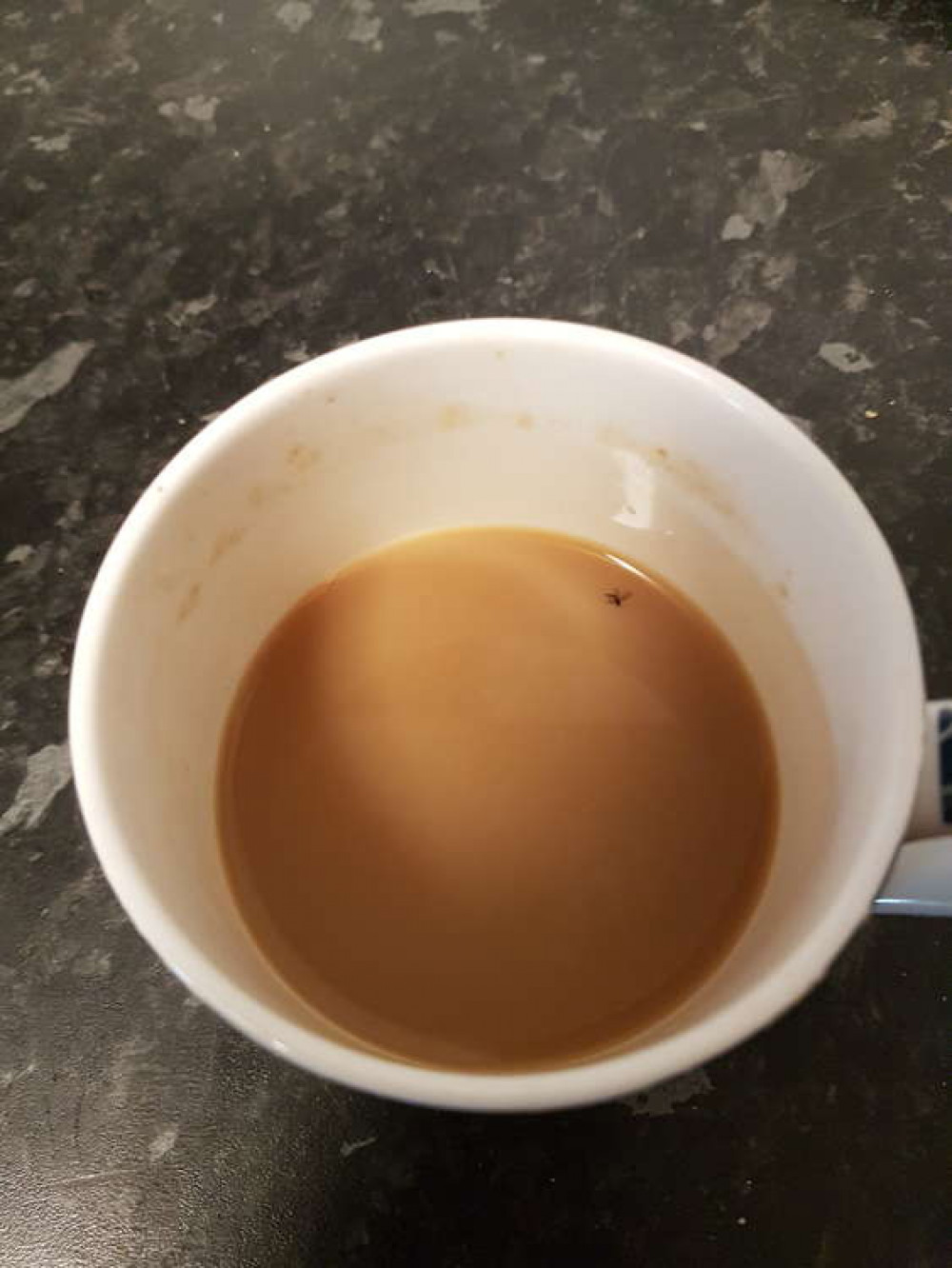 A cup of tea - with an unwelcome guest