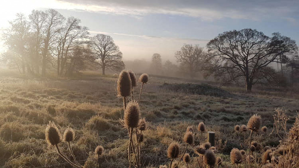 The Easthill Site In Frome. CREDIT: Bharati Pardhy. Free to use for all BBC wire partners.