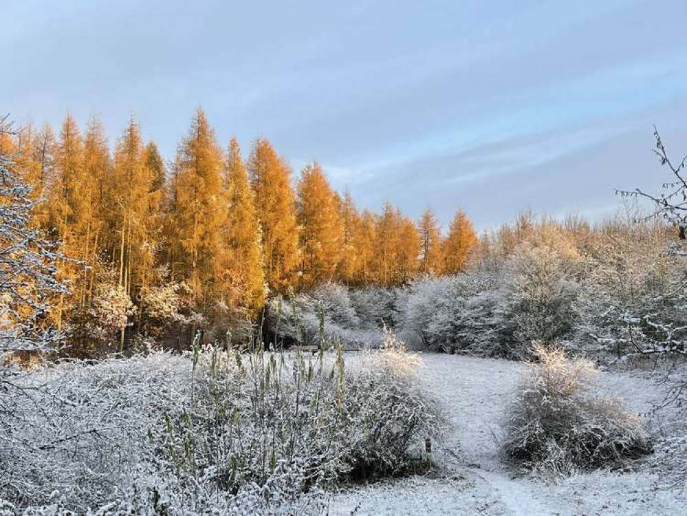 Ms Berry wanted to show the beauty of Hucknall. Photo credit: Tania Berry. Ms Berry wanted to show the beauty of Hucknall. Photo credit: Tania Berry.