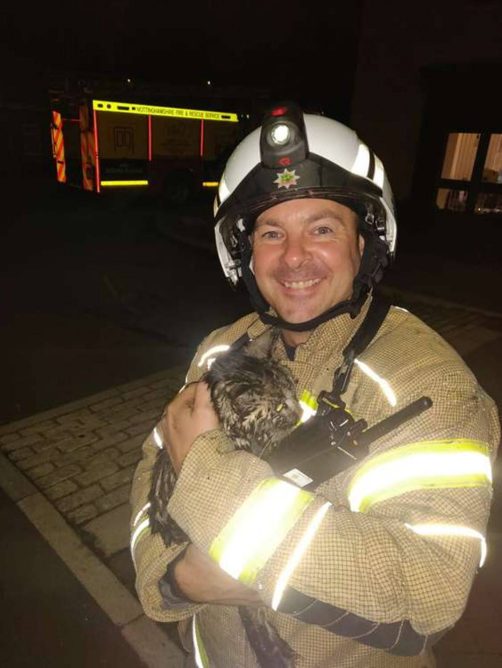 The cat was spotted as the firefighters had one last inspection of the scene. Photo courtesy of Nottinghamshire Fire and Rescue Service.