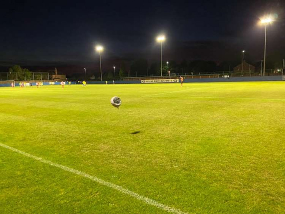 A floodlit Plains Road (pictured) was the venue for Hucknall Town's impressive victory. Photo Credit: Tom Surgay. A floodlit Plains Road (pictured) was the venue for Hucknall Town's impressive victory. Photo Credit: Tom Surgay.