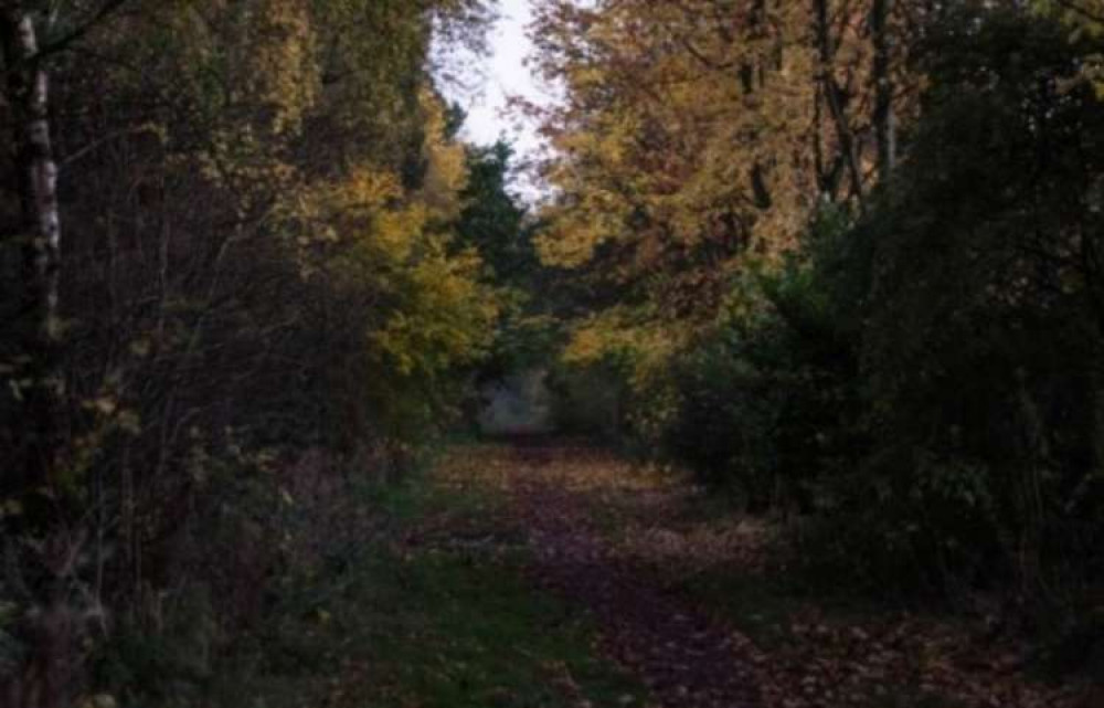 The disused track bed as it looks now.