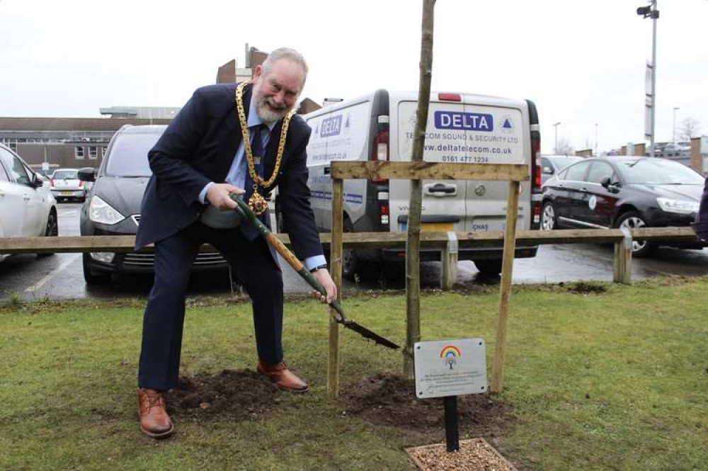 Macclesfield Mayor and Independent Councillor David Edwardes finishes planting a tree at Macclesfield District General Hospital.