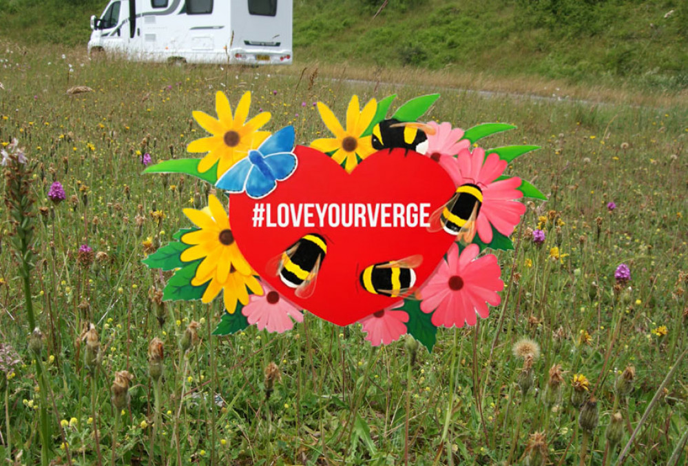 The Love Your Verge campaign by Dorset Council and Litter Free Dorset returns with colourful signage and more