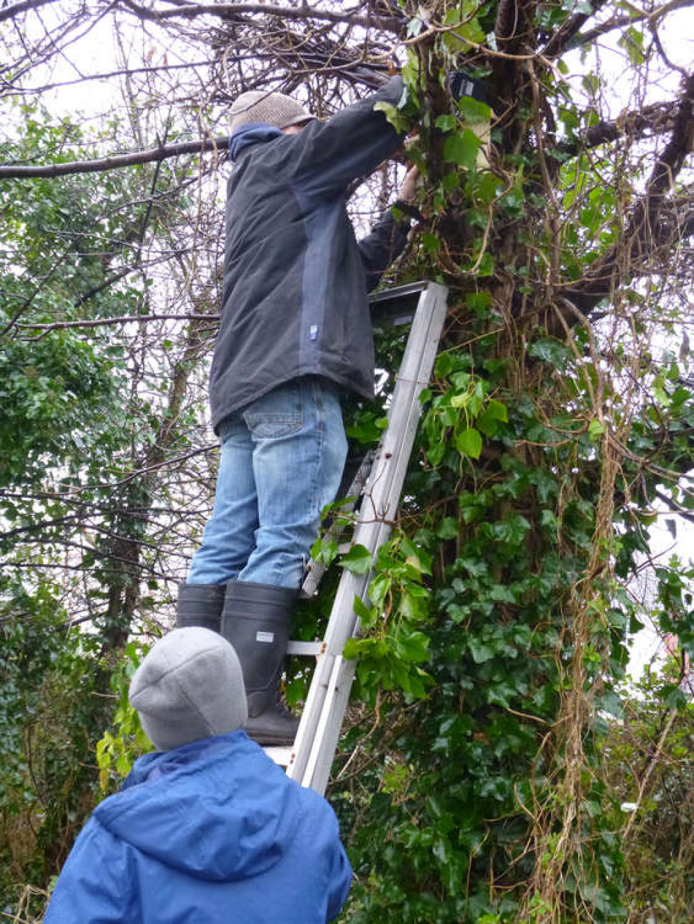 Members of Penarth Civic Society fitting bird boxes along Old Railway Path. (Image credit: Anne Evans)