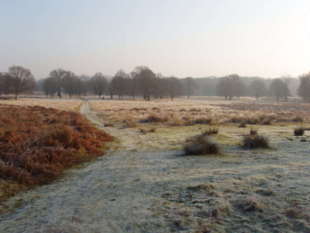 The police have revealed the death of a 19-year-old in Richmond Park, which is described as non-suspicious. The police have revealed the death of a 19-year-old in Richmond Park, which is described as non-suspicious.