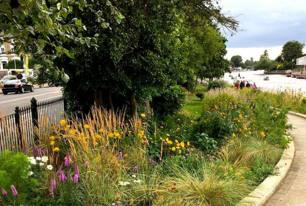 Queen's Promenade in Surbiton - just across the river - has been transformed into a beautiful riverside walk (Image: Queen's Promenade Friends) Queen's Promenade in Surbiton - just across the river - has been transformed into a beautiful riverside walk (Image: Queen's Promenade Friends)