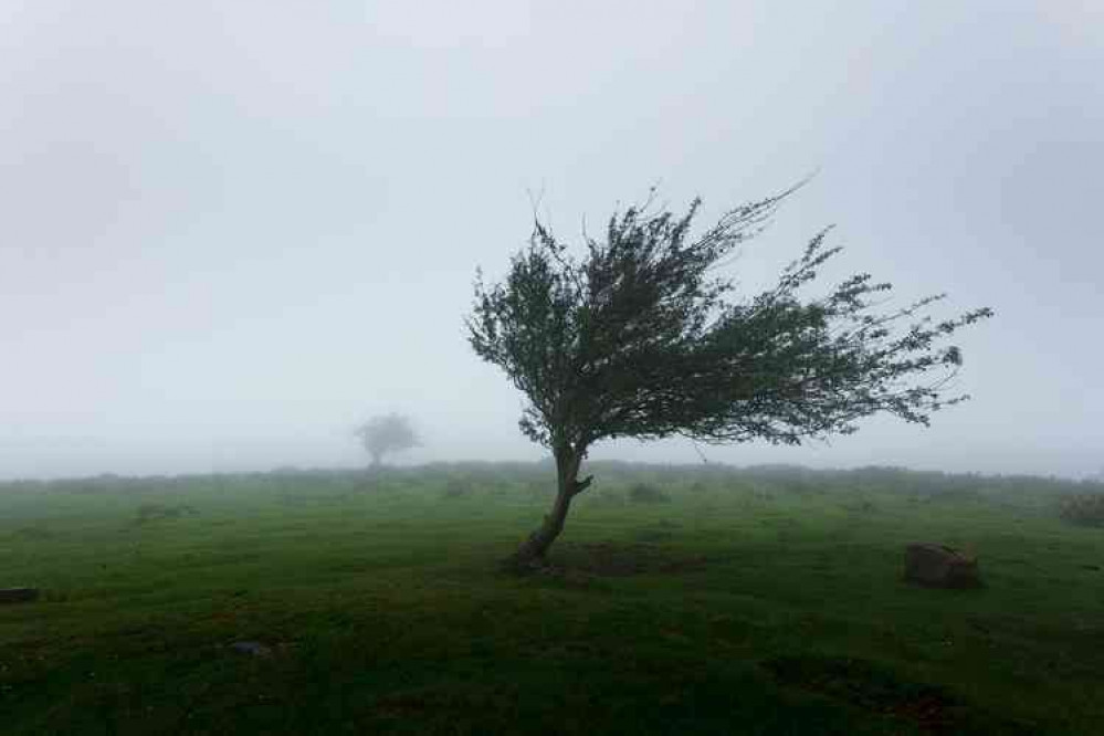 Storm Eunice is coming to the UK and Richmond is set to be hit by strong winds