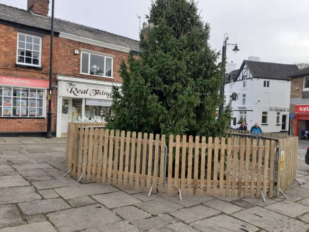 Sandbach's big Christmas tree has around 1,000 lights on it this year