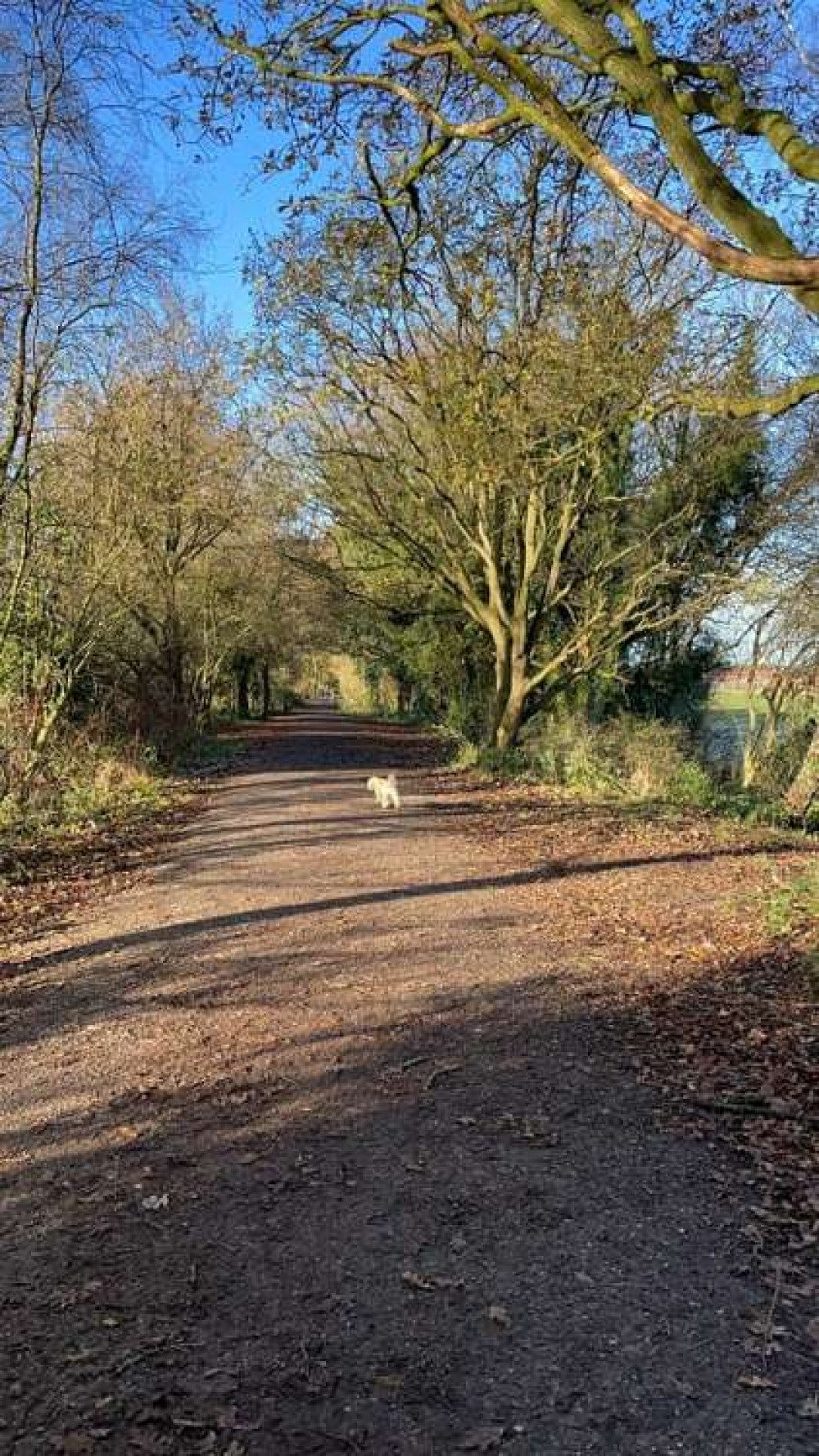 Bright skies on Sandbach's Salt Line today (Thursday)