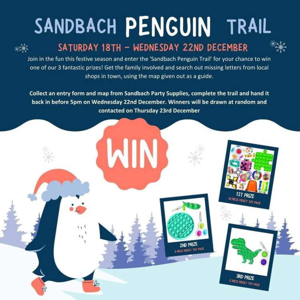 The fun continues with Sandbach Penguin Trail