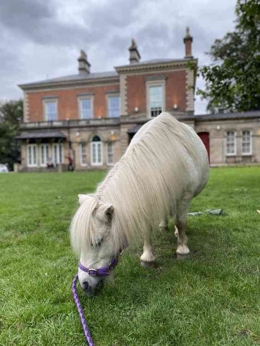 Daphne recently at the Castle Park Arts Centre reopening
