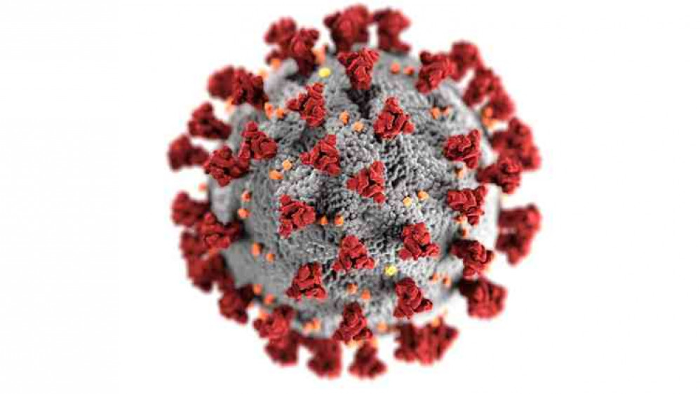 Coronavirus disease Coronavirus disease