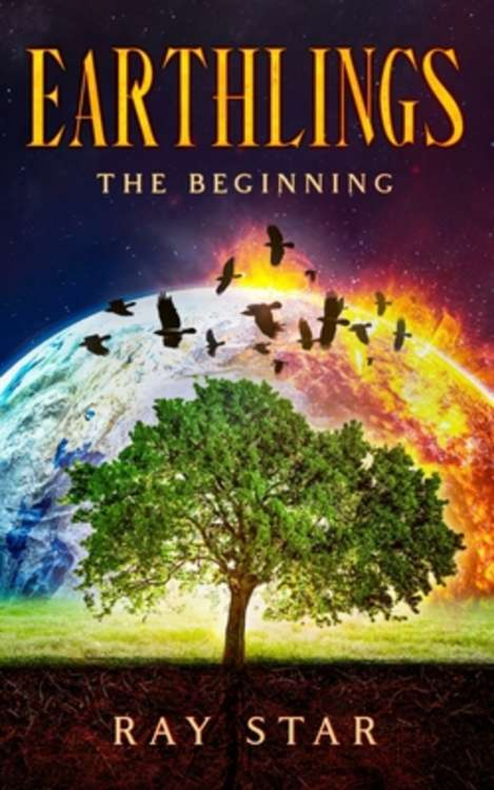 'Earthlings: The Beginning' by Ray Star