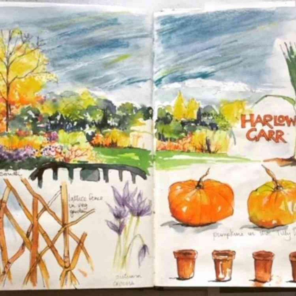 A journal page recording a trip to RHS garden, Harlow Carr. A journal page recording a trip to RHS garden, Harlow Carr.