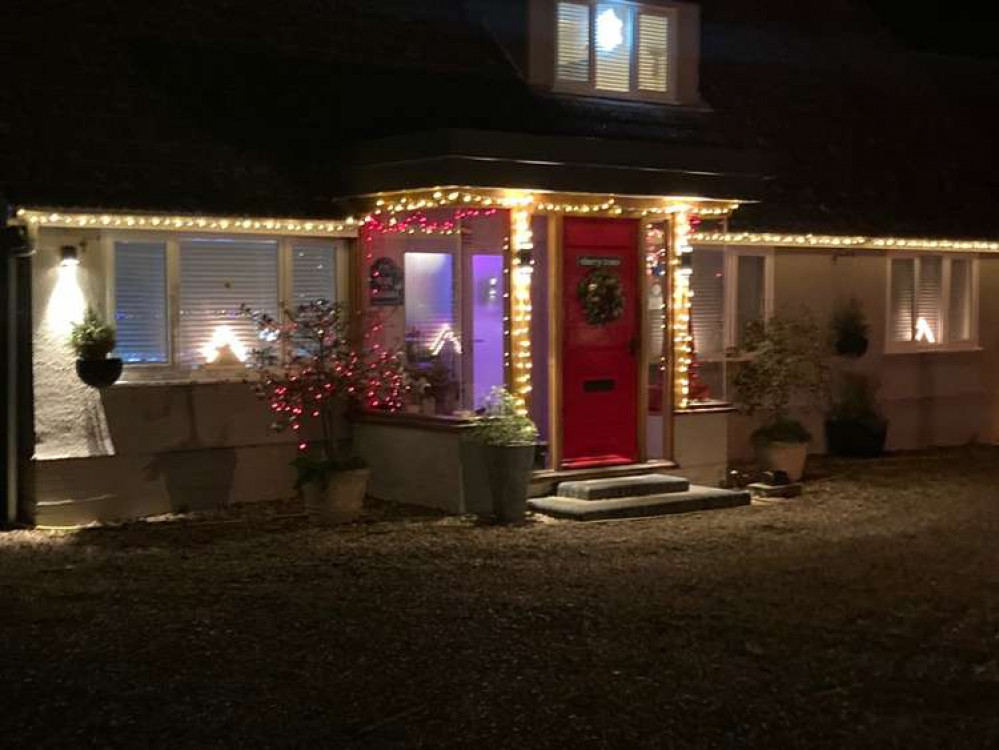 Trees lit up in Tattingstone Heath (picture credit Amanda Moore)