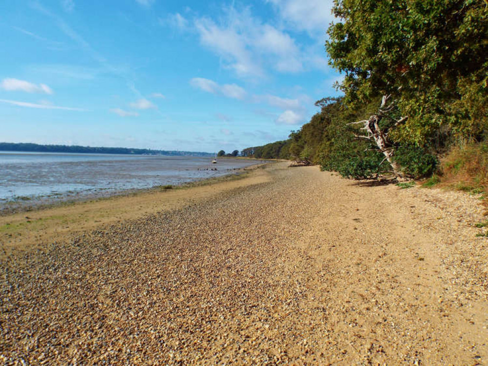 AONB on the Shotley peninsula (Picture credit: Nub News)