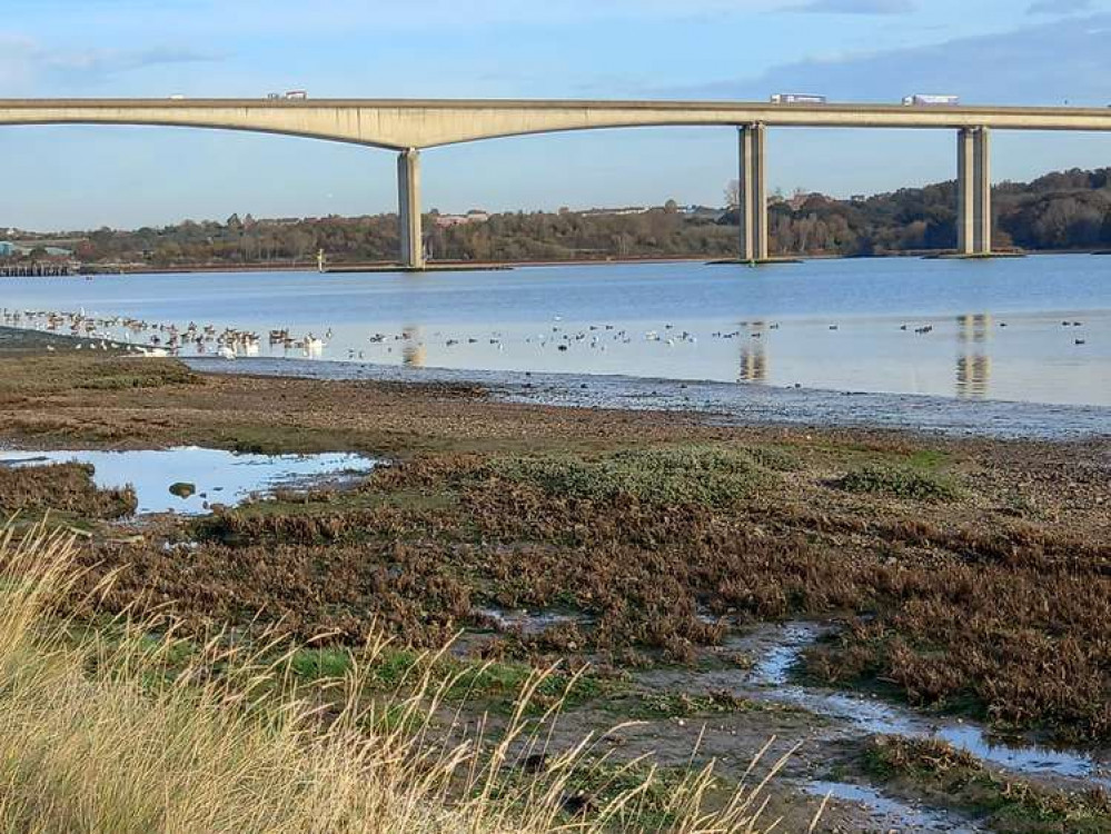 Migrating birds at Orwell Bridge