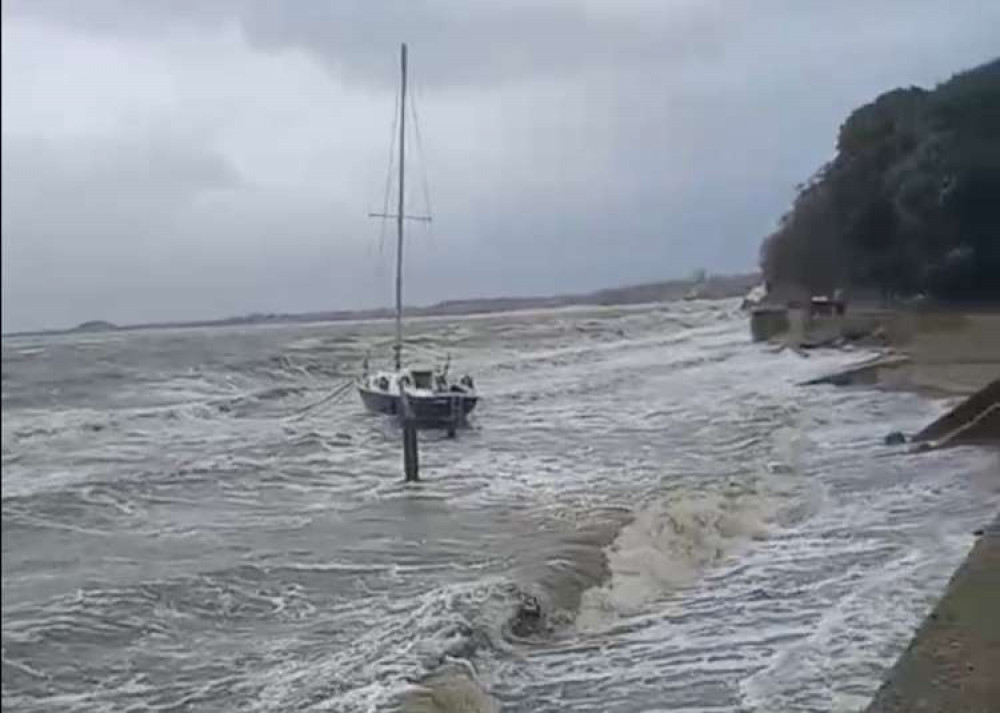 Pepper survived Storm Eunice 9Picture credit: Peninsula Nub News)