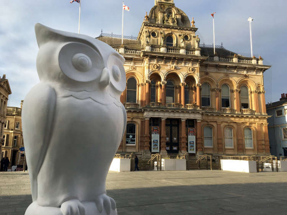 First Big Hoot unveiled (Picture credit: St Elizabeth Hospice)