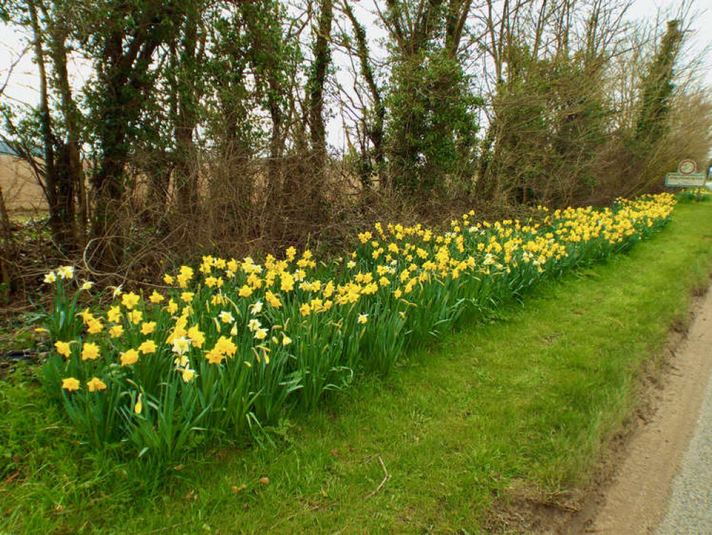 B1456 at Chelmo (Picture credit: Peninsula Nub News)