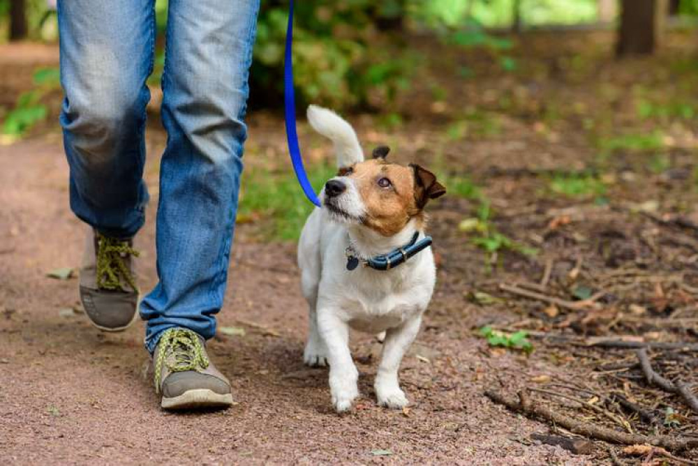 Take My Lead walk in Woolverstone in May (Picture credit: St Elizabeth Hospice)