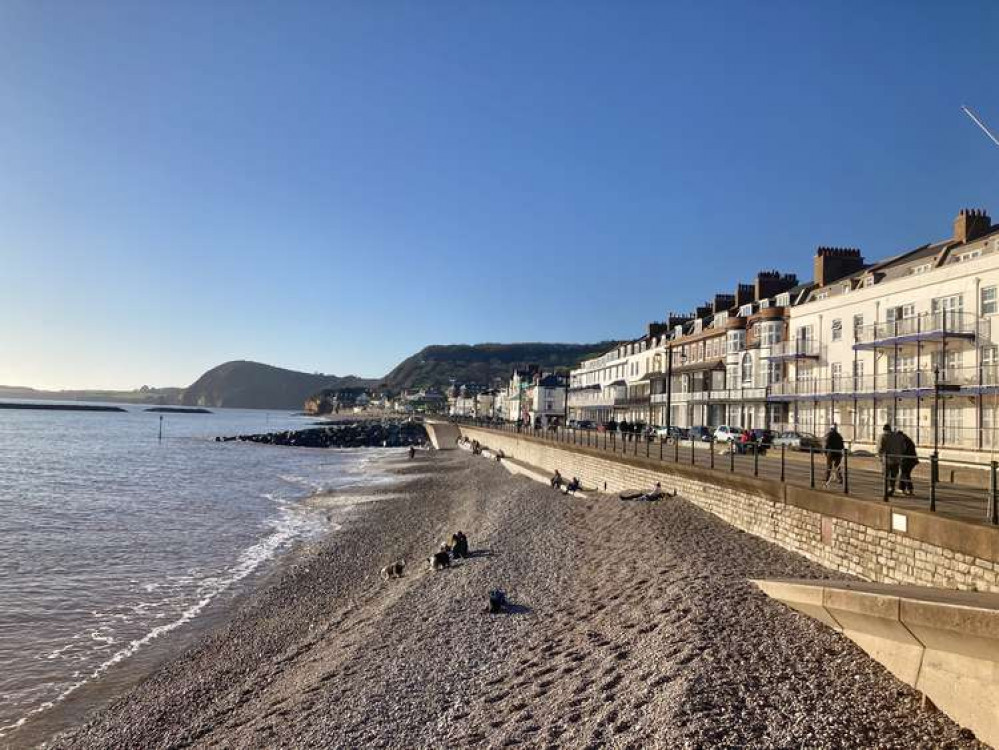 Sidmouth town beach (Nub News, Will Goddard)