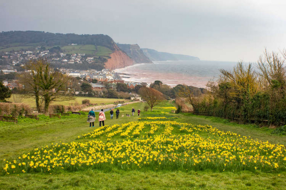 Looking towards Sidmouth