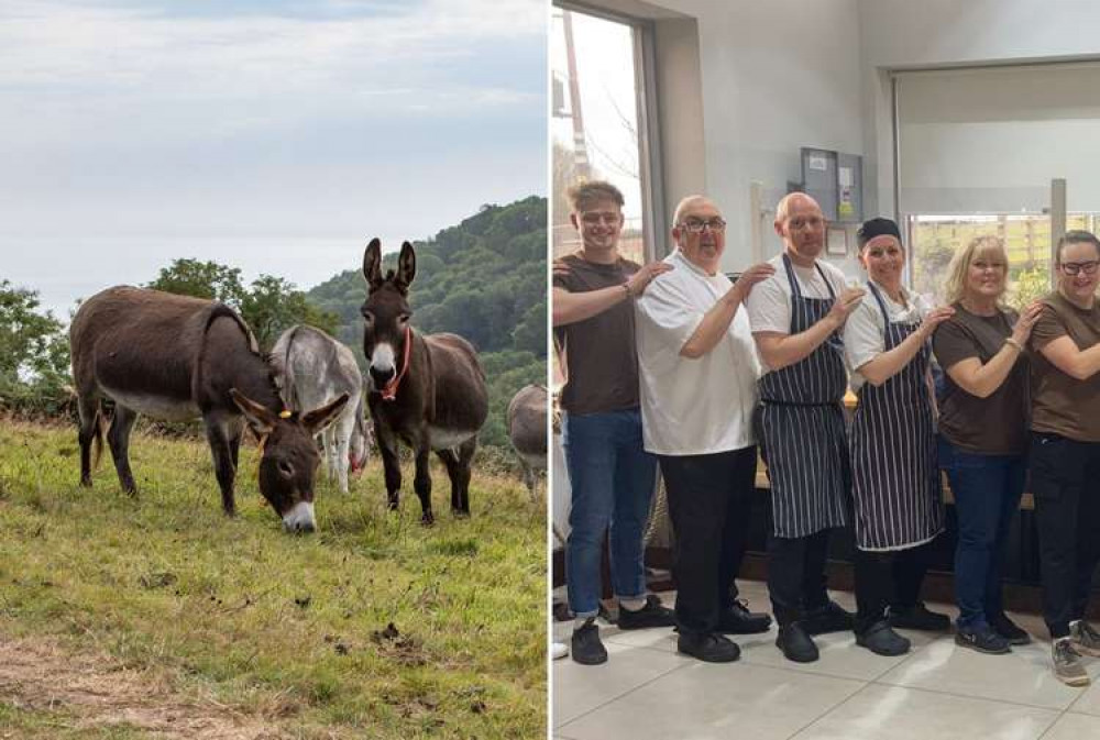 L: Donkeys grazing. R: The Kitchen staff (The Donkey Sanctuary)