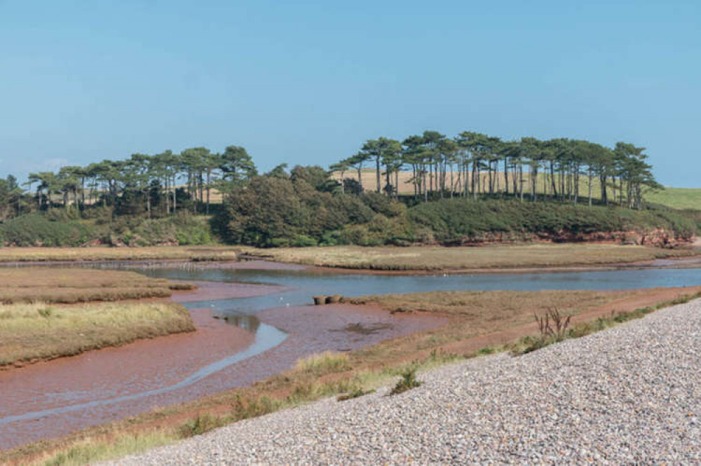 Otter Estuary Nature Reserve, Budleigh Salterton, Devon cc-by-sa/2.0 - © Christine Matthews - geograph.org.uk/p/4192178