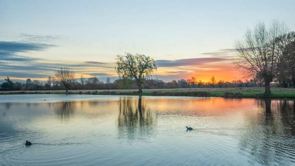 A wintery sunrise in Bushy Park, Teddington (Image: Sue Lindenberg)