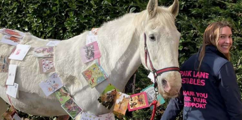 Park Lane Stables are now the owners of their Teddington home