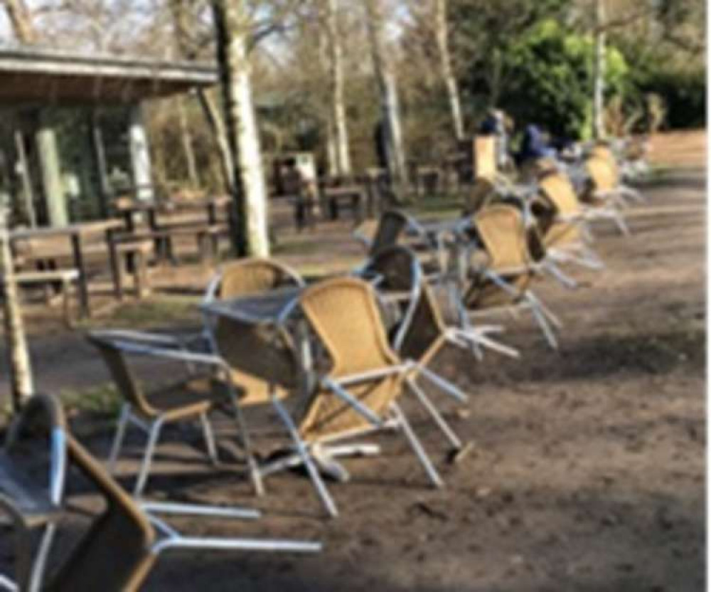 Outdoor seating at the cafe in the park's Woodland Gardens