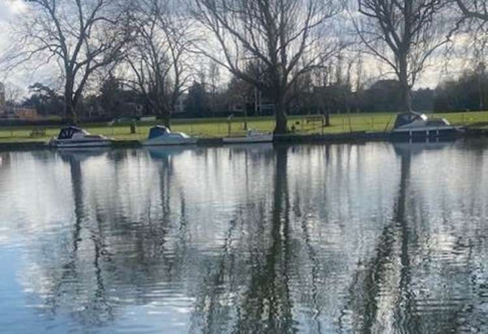 The seal was spotted on the stretch of Thames path opposite the Lensbury club, near Teddington Lock (Image: Stuart Higgins)