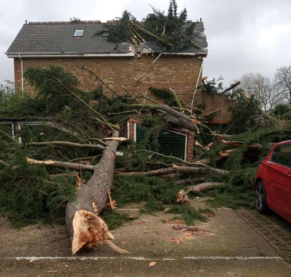 Damage on Cromwell Road as a tree smashed into a garage and nearby house