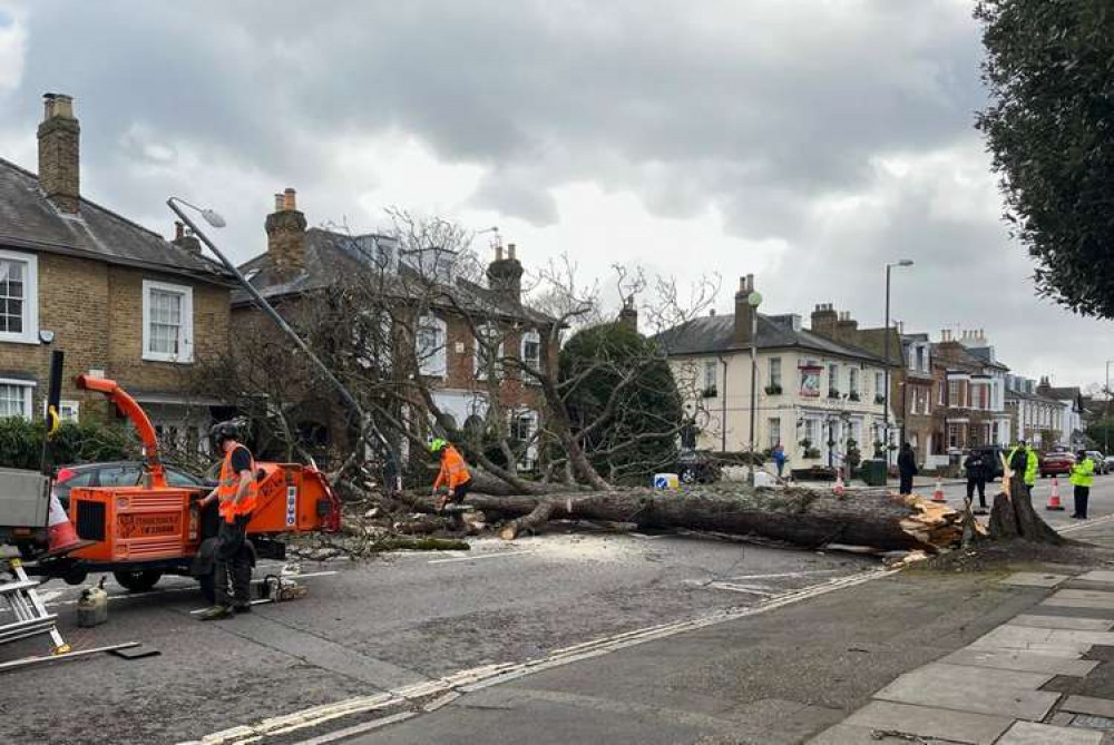 Workers are now removing the tree