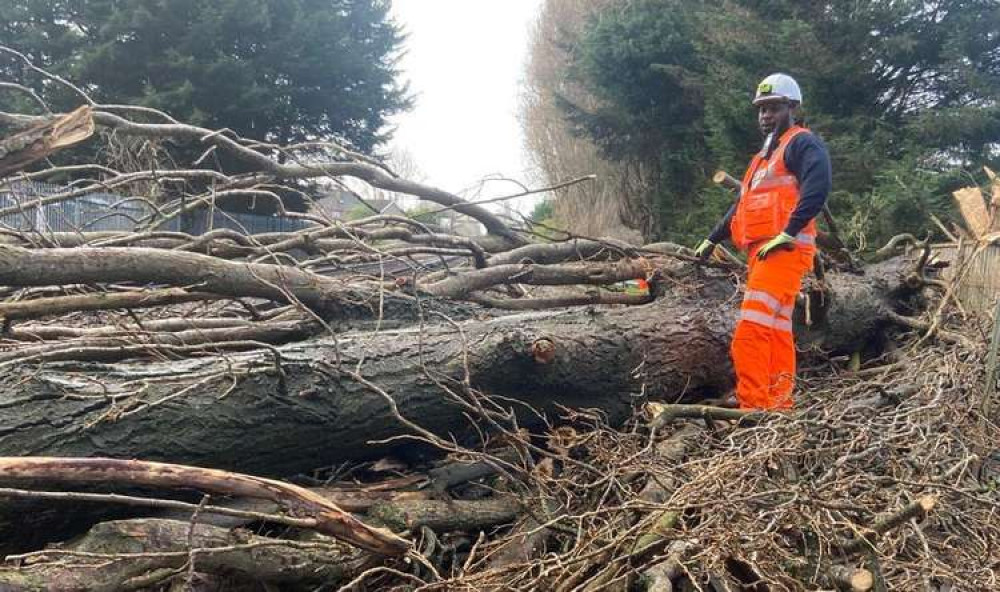 A massive tree blocked the SWR line at Ewell West this morning (Image: Network Rail) A massive tree blocked the SWR line at Ewell West this morning (Image: Network Rail)