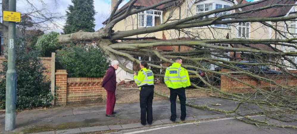 Another tree has fallen across a driveway in Teddington (Image: @MPSHampton)