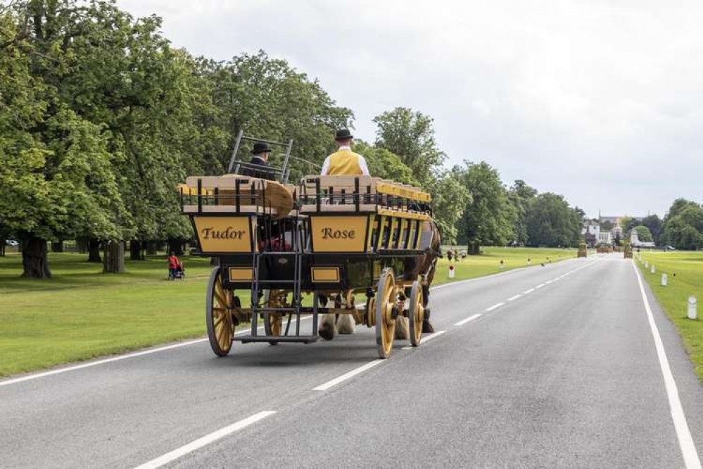 Traditional Shire horses will be offering rides through Bushy Park this April