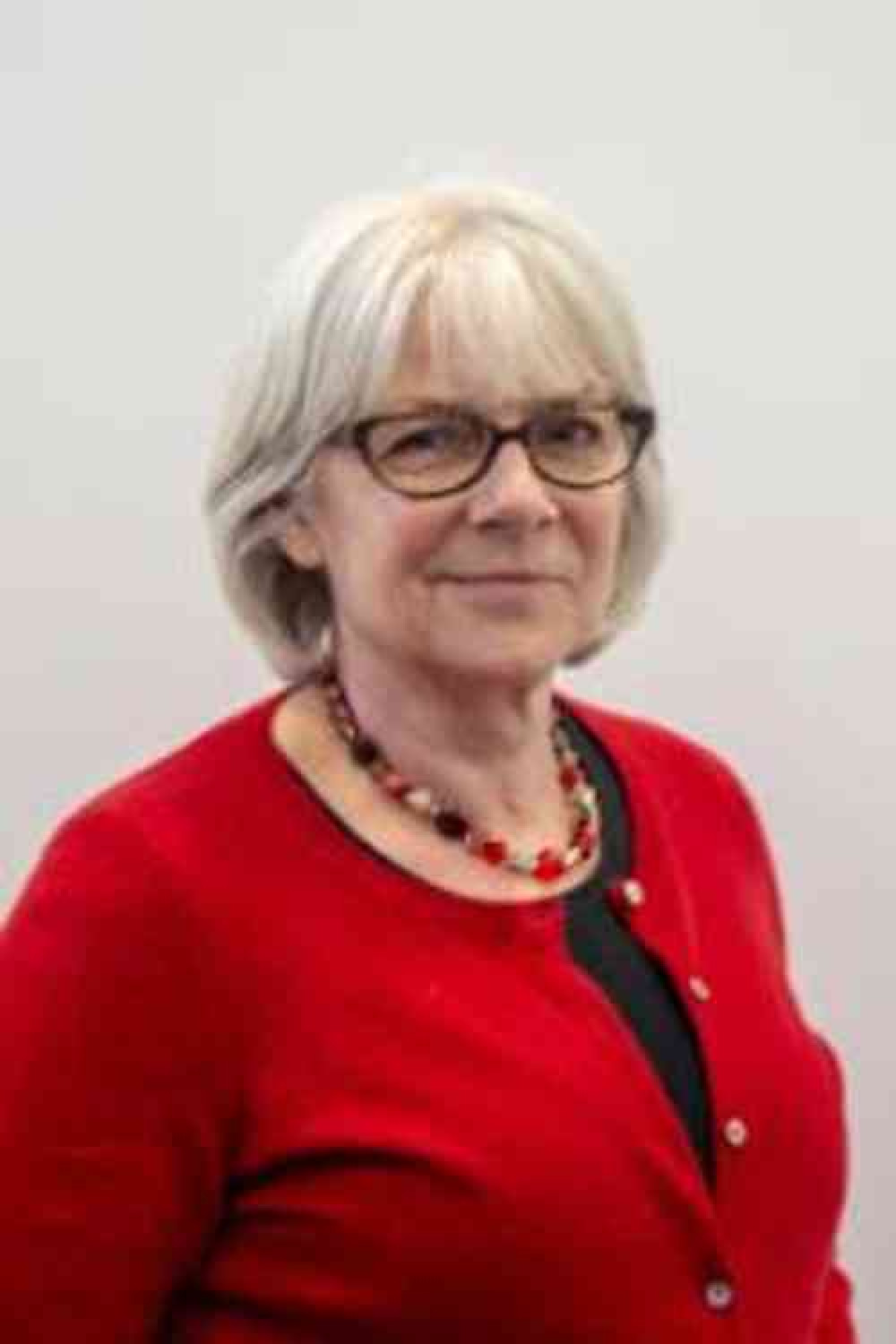 Liz Leyshon, Somerset county councillor for Glastonbury and Street (Photo: Mendip District Council) Liz Leyshon, Somerset county councillor for Glastonbury and Street (Photo: Mendip District Council)