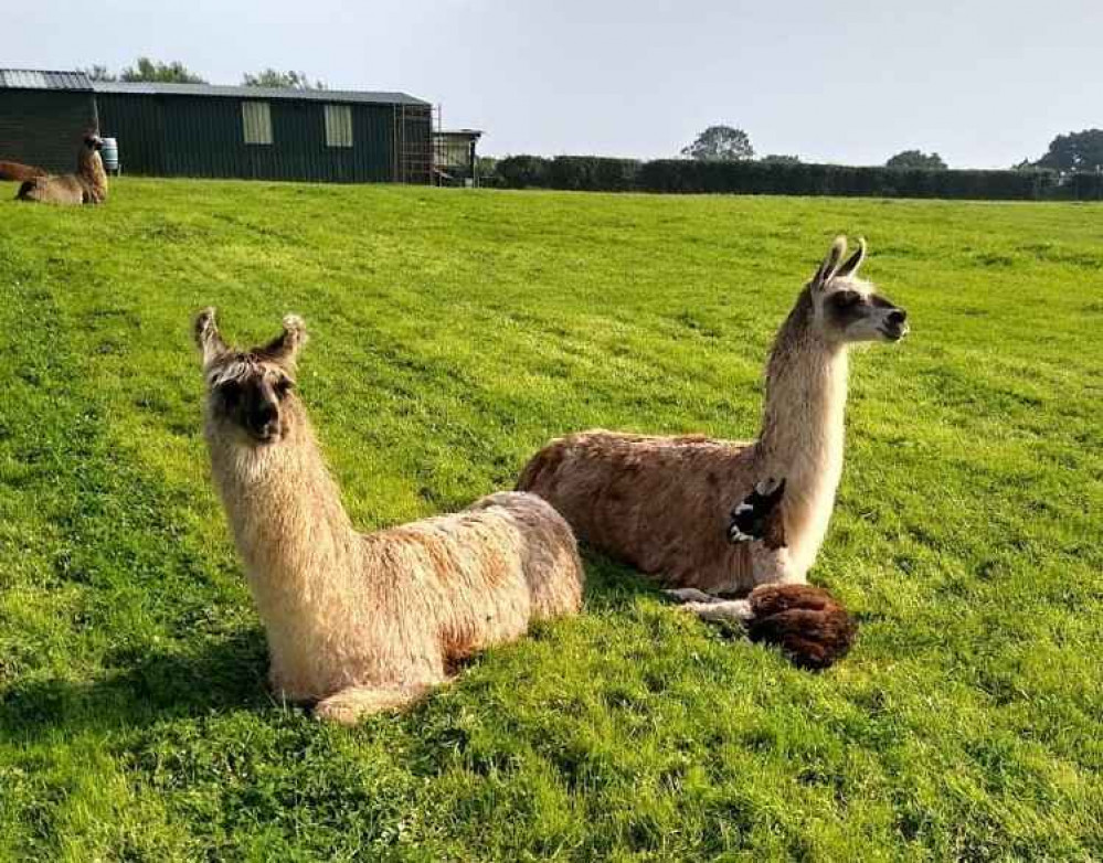 Mieke with daughter Hannah and son Joseph Mieke with daughter Hannah and son Joseph