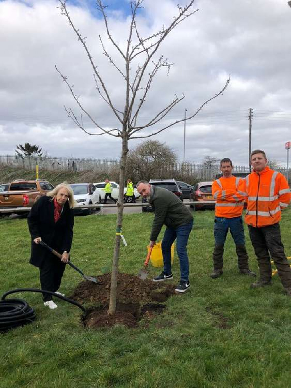 Cllrs Andrew Jefferies and Sue Shinnick plant the first of Thurrock's Jubilee trees.