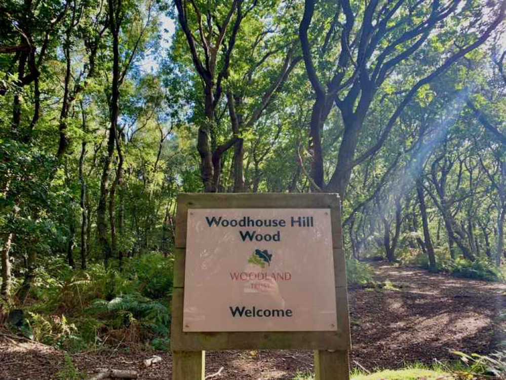 Woodhouse Hill Wood Woodhouse Hill Wood